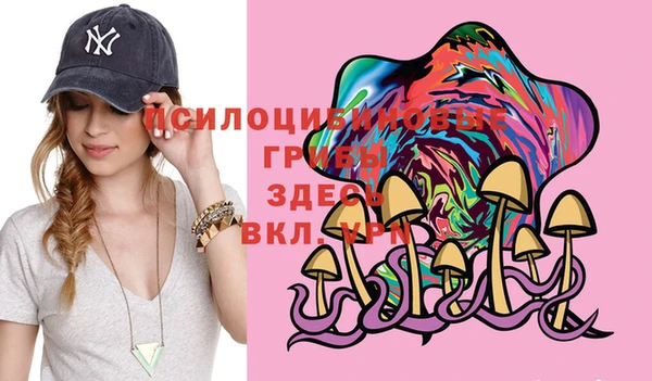 ГАЛЛЮЦИНОГЕННЫЕ ГРИБЫ Кинешма