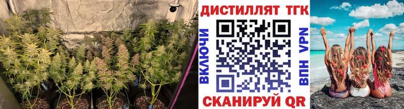 Купить закладки  Уварово  ТГК концентрат 